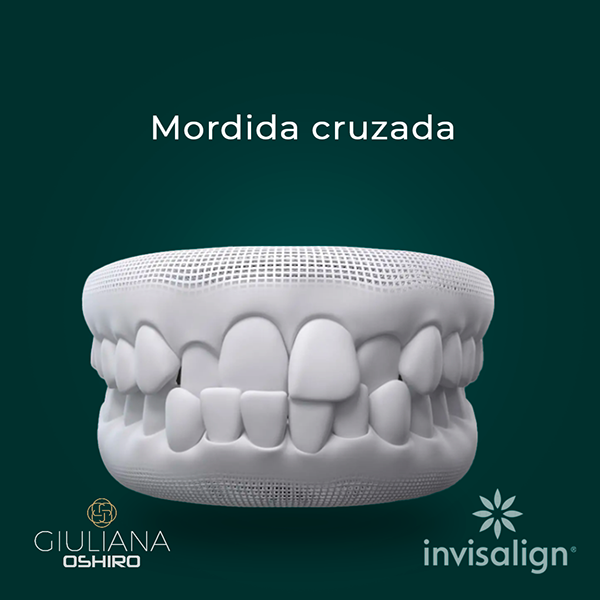 Dr. Giuliana — apresentação da identidade visual (14)