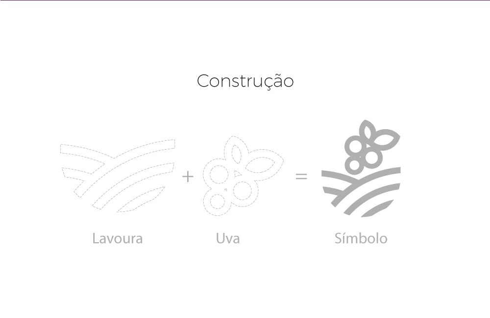 Safra Vinhos — apresentação da identidade visual (02)