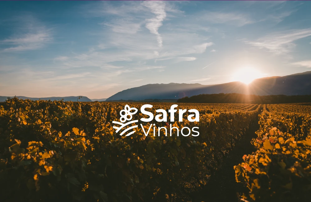 Safra Vinhos — apresentação da identidade visual (13)
