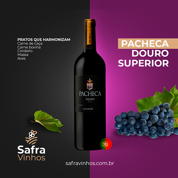 Safra Vinhos — apresentação da identidade visual (17)