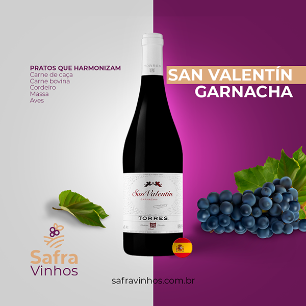 Safra Vinhos — apresentação da identidade visual (19)