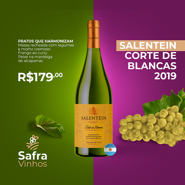 Safra Vinhos — apresentação da identidade visual (24)