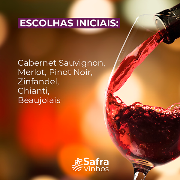 Safra Vinhos — apresentação da identidade visual (30)