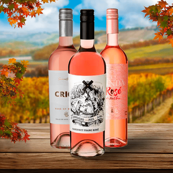 Safra Vinhos — apresentação da identidade visual (31)