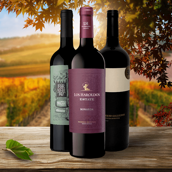 Safra Vinhos — apresentação da identidade visual (32)